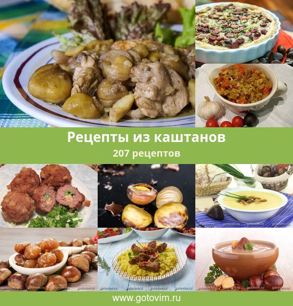 Каштан Съедобный Рецепты С Фото Каштан Съедобный Рецепты С Фото