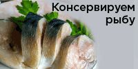Р вЂ”Р В°Р С–Р С•РЎвЂљР С•Р Р†Р С”Р С‘ Р С‘Р В· РЎР‚РЎвЂ№Р В±РЎвЂ№