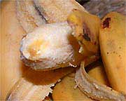Карликовый банан